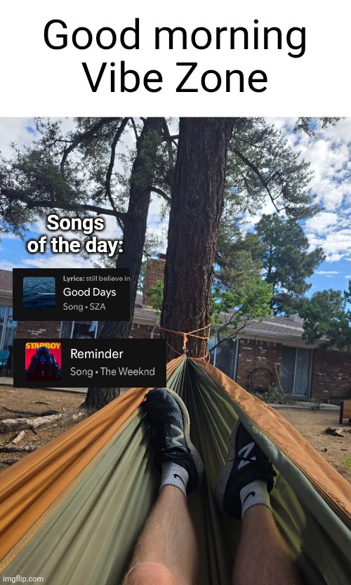 Good morning Vibe Zone; Songs of the day: | image tagged in good morning,vibe zone,streams,sza,the weeknd,hammock | made w/ Imgflip meme maker