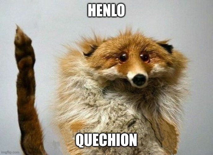 Henlo....quechion | Henlo; Quechion | image tagged in i have a question fox | made w/ Imgflip meme maker
