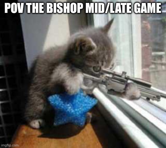 CatSniper | POV the bishop mid/late game | image tagged in catsniper | made w/ Imgflip meme maker