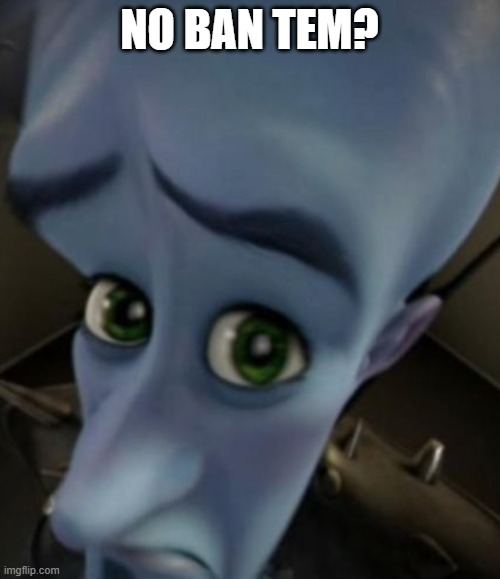 Sad Megamind | no ban tem? | image tagged in sad megamind | made w/ Imgflip meme maker