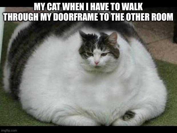 fat cat 2 | My cat when I have to walk through my doorframe to the other room | image tagged in fat cat 2 | made w/ Imgflip meme maker