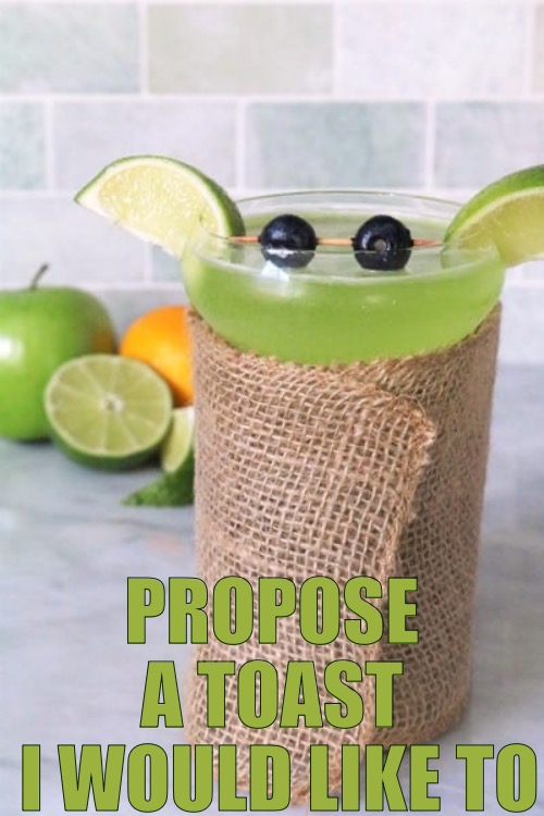 Propose a toast
 I would like to | made w/ Imgflip meme maker