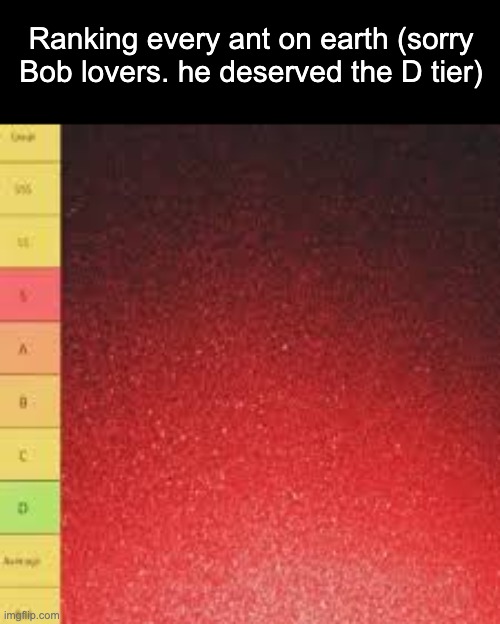 AIN'T NO WAY THEY PUT TOM ON THE D TIER TOO! | Ranking every ant on earth (sorry Bob lovers. he deserved the D tier) | image tagged in ants,tier list,memes,funny | made w/ Imgflip meme maker