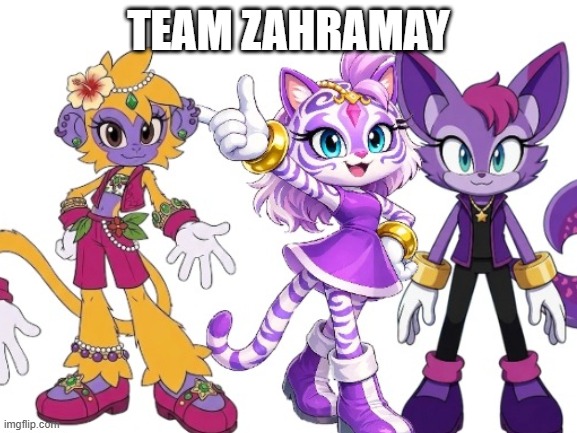 team zahramay | image tagged in memes | made w/ Imgflip meme maker