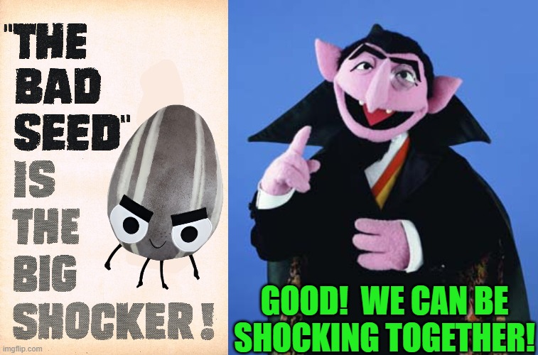 Count Von Count likes The Bad Seed | GOOD!  WE CAN BE
SHOCKING TOGETHER! | image tagged in the bad seed,shocker,count von count,sesame street,muppet,doll | made w/ Imgflip meme maker