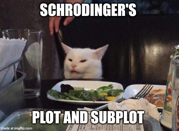 Schrodinger's plot and subplot Hidden messages | image tagged in salad cat | made w/ Imgflip meme maker