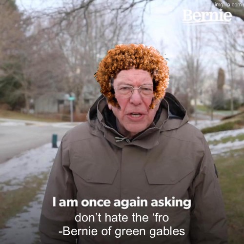 Bernie I Am Once Again Asking For Your Support Meme | don’t hate the ‘fro
-Bernie of green gables | image tagged in memes,bernie i am once again asking for your support | made w/ Imgflip meme maker