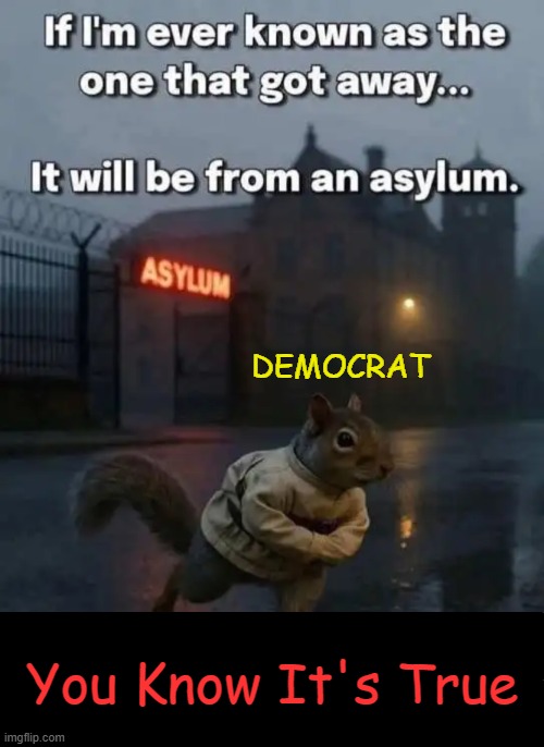 Dems have truly slipped over-the-edge... | Democrat; You Know It's True | image tagged in leftists,commies,marxists,democratic socialism,crying democrats,insane | made w/ Imgflip meme maker