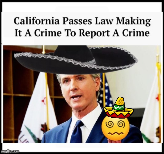 Crazy laws from Greasy Gavin | image tagged in at1pt8 jpg,grease,gavin | made w/ Imgflip meme maker