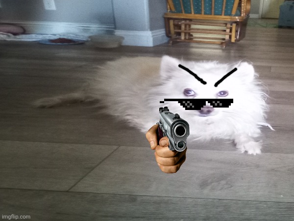 image tagged in dog | made w/ Imgflip meme maker