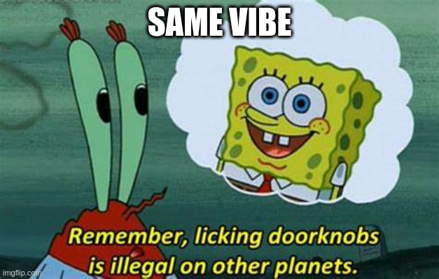 same vibe | image tagged in remember licking doorknobs is illegal on other planets | made w/ Imgflip meme maker