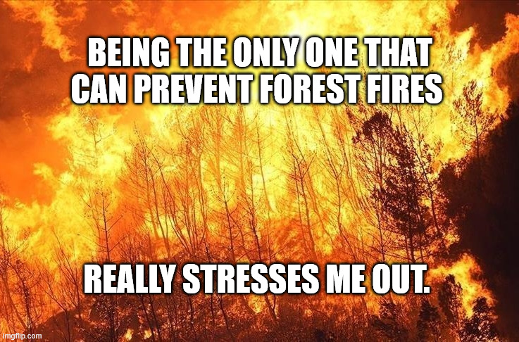 Forest Fire | Being the only one that can prevent forest fires; really stresses me out. | image tagged in forest fire | made w/ Imgflip meme maker