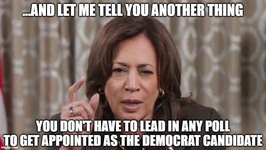 Drunk Kamala Wisdom | ...and let me tell you another thing You don't have to lead in any poll to get appointed as the democrat candidate | image tagged in drunk kamala wisdom | made w/ Imgflip meme maker