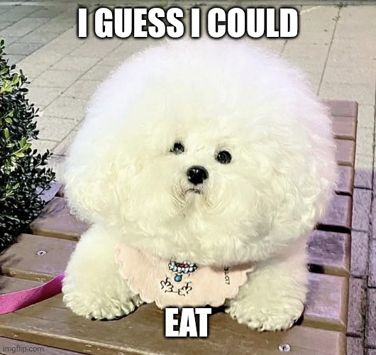 Ok if you're gonna force me ? | I guess I could; Eat | image tagged in doag,hungry,chud | made w/ Imgflip meme maker