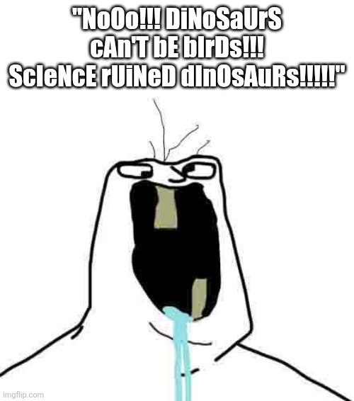 "NoOo!!! DiNoSaUrS cAn'T bE bIrDs!!! ScIeNcE rUiNeD dInOsAuRs!!!!!" | image tagged in 3548qs jpg | made w/ Imgflip meme maker