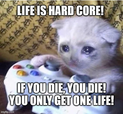 So hard core | life is hard core! if you die, you die! you only get one life! | image tagged in sad gaming cat,life,yolo,epstein files | made w/ Imgflip meme maker