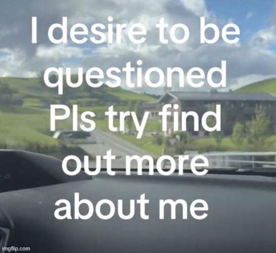 I desire to be questioned | image tagged in i desire to be questioned | made w/ Imgflip meme maker