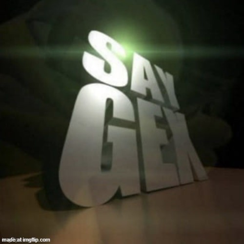 say gex | image tagged in say gex | made w/ Imgflip meme maker