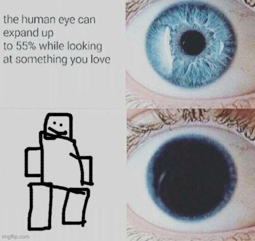 Eye pupil expand | image tagged in eye pupil expand | made w/ Imgflip meme maker