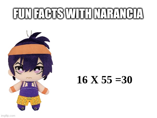 fun facts with narancia | fun facts with narancia; 16 x 55 =30 | image tagged in fun fact,narancia | made w/ Imgflip meme maker