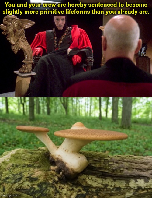 Q Anon | You and your crew are hereby sentenced to become slightly more primitive lifeforms than you already are. | image tagged in star trek | made w/ Imgflip meme maker