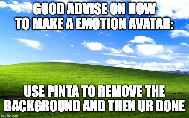 idk | good advise on how to make a emotion avatar:; use pinta to remove the background and then ur done | image tagged in window grass field,advise | made w/ Imgflip meme maker