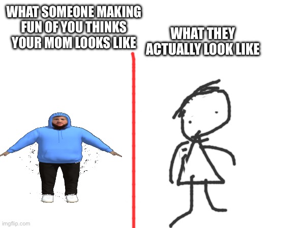 Guys, your mom is not the size of caseoh. BC YOU ARE- | What they actually look like; What someone making fun of you thinks your mom looks like | image tagged in moms,internet | made w/ Imgflip meme maker