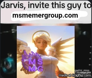 what are yall doing on imgshit | image tagged in invite this guy to msmemergroup com | made w/ Imgflip meme maker