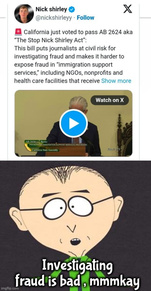 . . . and Trump's a Nazi | Investigating fraud is bad , mmmkay | image tagged in south park mmmkay,fraud,well yes but actually no,prepare for trouble and make it double,politicians suck,injustice department | made w/ Imgflip meme maker