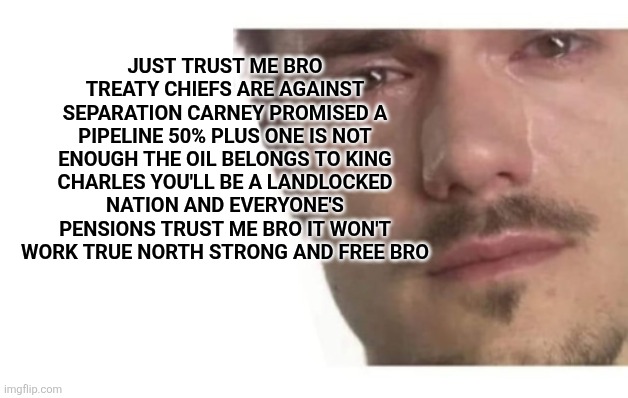 Bro | Just trust me bro treaty chiefs are against separation Carney promised a pipeline 50% plus one is not enough the oil belongs to King Charles you'll be a landlocked nation and everyone's pensions trust me bro it won't work true north strong and free bro | image tagged in just trust me bro please,canada,meanwhile in canada,oil | made w/ Imgflip meme maker