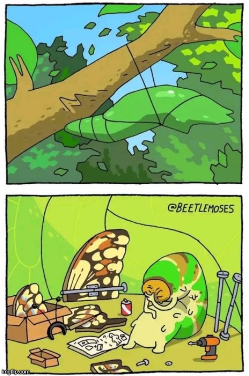 Please contact our support line if you are experiencing trouble with our products | image tagged in caterpillar,butterfly,comic | made w/ Imgflip meme maker