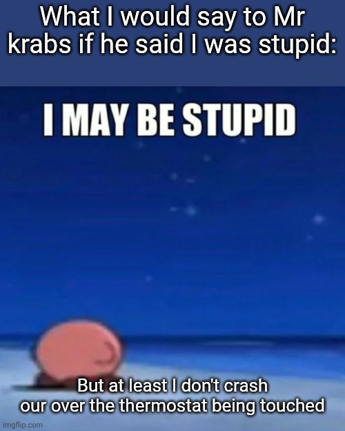 i may be stupid | What I would say to Mr krabs if he said I was stupid:; But at least I don't crash our over the thermostat being touched | image tagged in i may be stupid | made w/ Imgflip meme maker