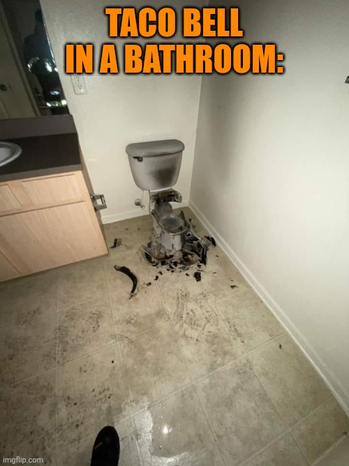 exploded toilet | Taco bell in a bathroom: | image tagged in exploded toilet | made w/ Imgflip meme maker