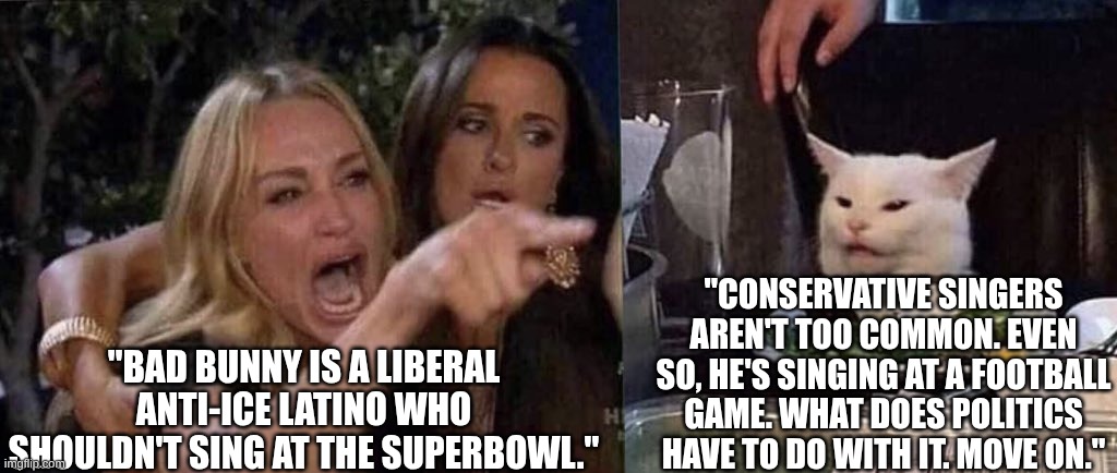 woman yelling at cat | "Conservative singers aren't too common. Even so, he's singing at a football game. What does politics have to do with it. Move on."; "Bad bunny is a liberal anti-ice Latino who shouldn't sing at the Superbowl." | image tagged in woman yelling at cat | made w/ Imgflip meme maker