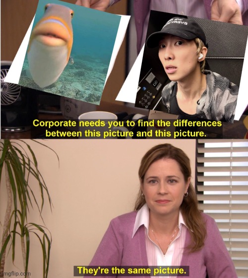 They're The Same Picture | image tagged in memes,they're the same picture,kim namjoon,bts | made w/ Imgflip meme maker