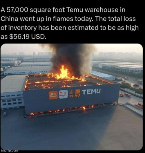 image tagged in temu,scams,burning,fire,money,insults | made w/ Imgflip meme maker