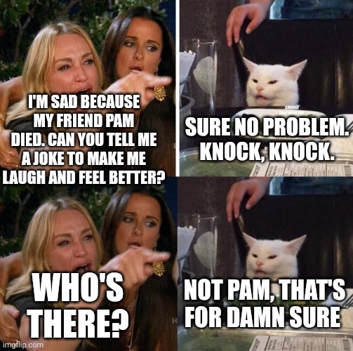 I'm sad because my friend Pam died. Can you tell me a joke to make me laugh and feel better? Sure no problem. Knock, knock. Not Pam, that's for damn sure; Who's there? | image tagged in smudge that darn cat with karen,memes,woman yelling at cat | made w/ Imgflip meme maker
