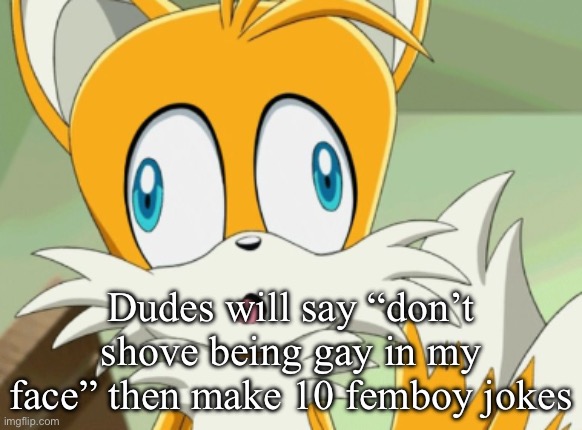Dudes will say “don’t shove being gay in my face” then make 10 femboy jokes | image tagged in tails derp | made w/ Imgflip meme maker