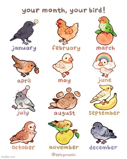 Birbs | made w/ Imgflip meme maker