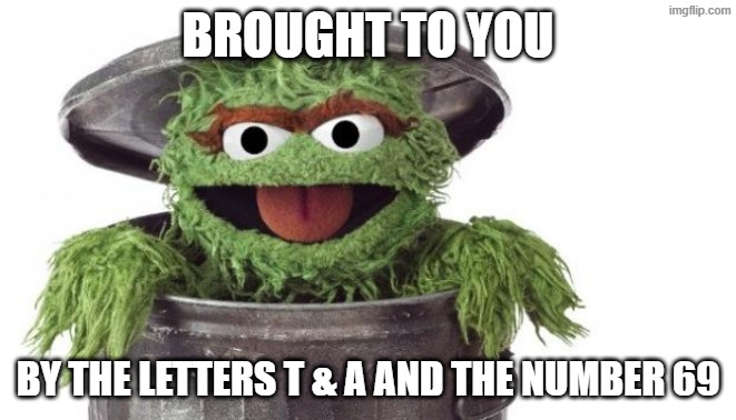 Oscar trashcan Sesame street | brought to you by the letters t & a and the number 69 | image tagged in oscar trashcan sesame street | made w/ Imgflip meme maker