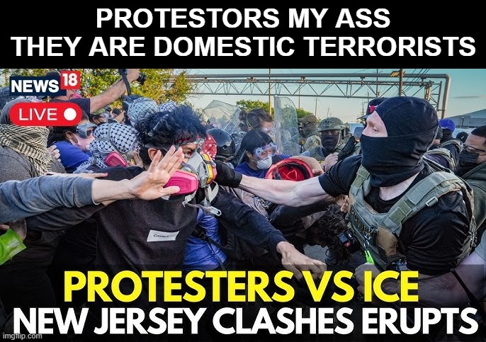 Call a Spade a Spade (how come they are all White?) | Protestors my ass
they are Domestic terrorists | image tagged in new jersey protestors terrorists meme | made w/ Imgflip meme maker