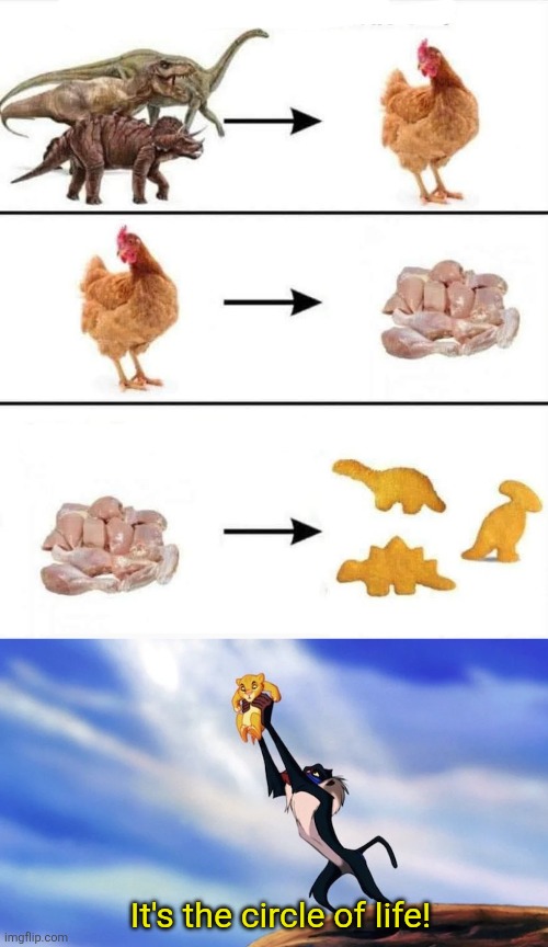 Dino chicky nugget full circle | It's the circle of life! | image tagged in circle of life,dinosaurs,chickens,not,related,but funny anyway | made w/ Imgflip meme maker