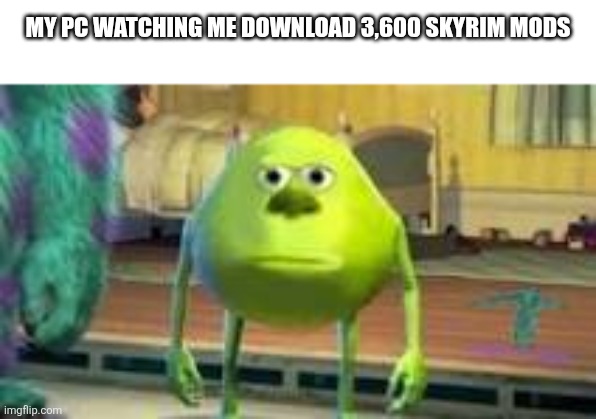 nolvus v6 ultimate | my pc watching me download 3,600 skyrim mods | image tagged in mike w | made w/ Imgflip meme maker