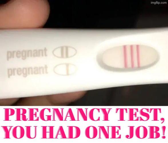 Pregnancy Test Fail | Pregnancy test, you had one job! | image tagged in you had one job,pregnancy test,epic fail,dafuq did i just read,duhhh dumbass,task failed successfully | made w/ Imgflip meme maker
