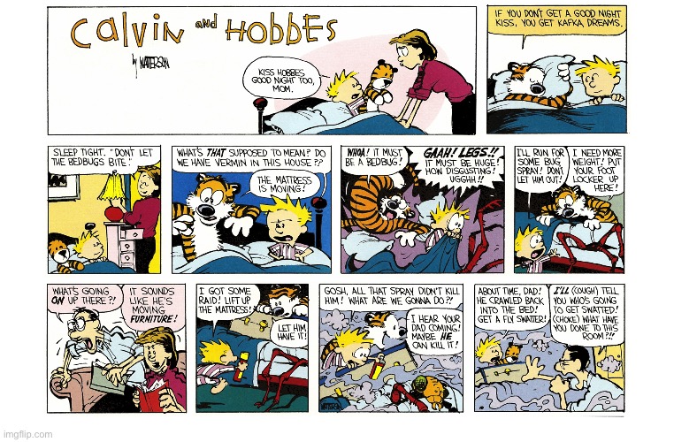 IMG_5535.jpeg | image tagged in calvin and hobbes,comics | made w/ Imgflip meme maker