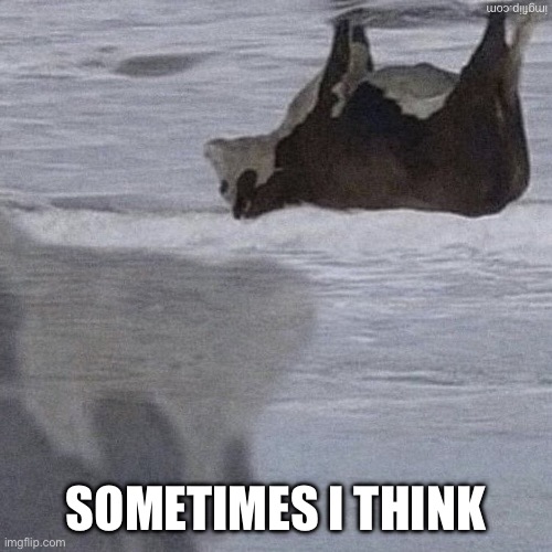 It’s just upside down | Sometimes I think | image tagged in upside down cow | made w/ Imgflip meme maker