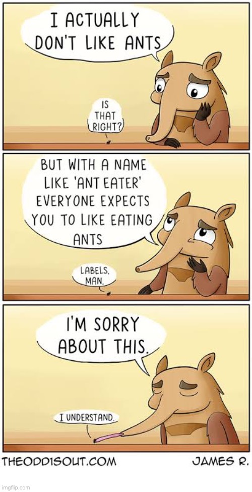 The Odd 1s Out | image tagged in comics,the odd 1s out,anteater,really dont like them,expectations,apologize | made w/ Imgflip meme maker