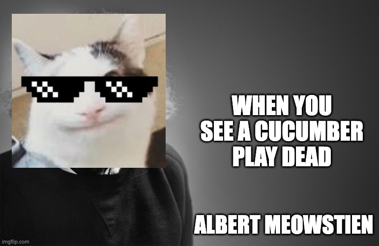 Albert Meowstien | When You see a cucumber play dead; Albert Meowstien | image tagged in albert einstein quotes | made w/ Imgflip meme maker