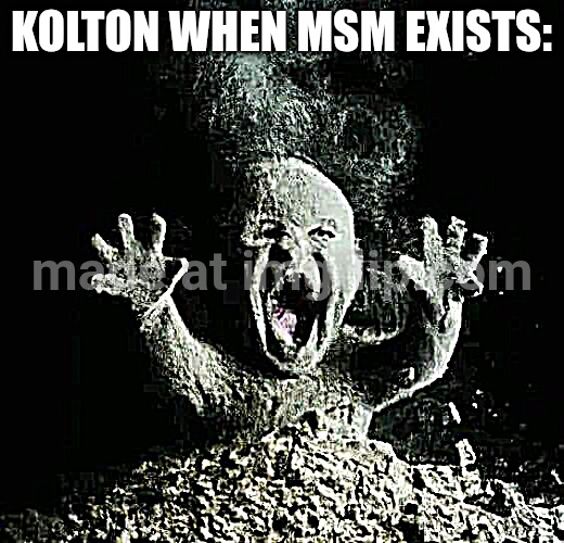 Ash baby | Kolton when msm exists: | image tagged in ash baby | made w/ Imgflip meme maker