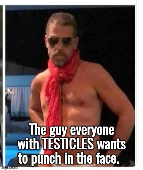 Hunter biden in skivvies | The guy everyone with TESTICLES wants to punch in the face. | image tagged in hunter biden in skivvies | made w/ Imgflip meme maker